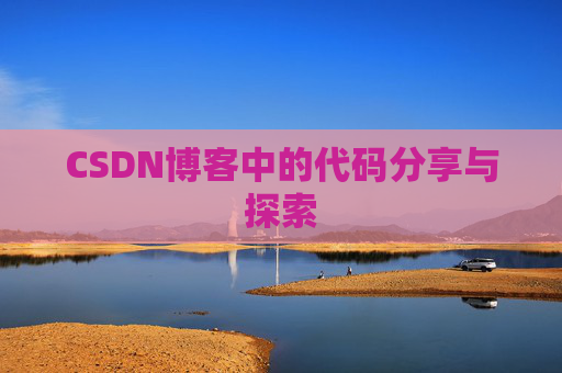 CSDN博客中的代码分享与探索
